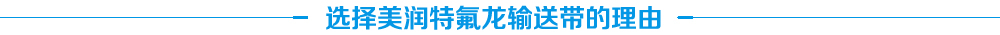 耐高溫網格特氟龍輸送帶